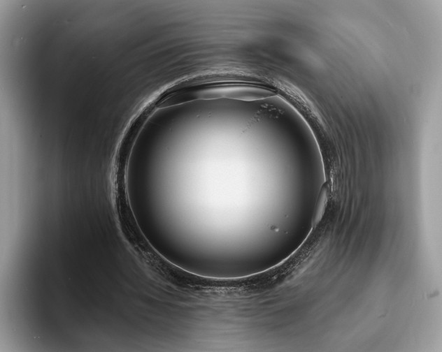 X0000094070436200710191123