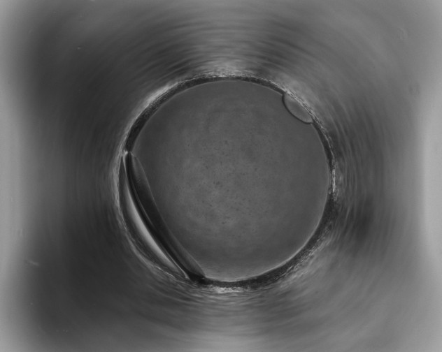 X0000094070438200710191123