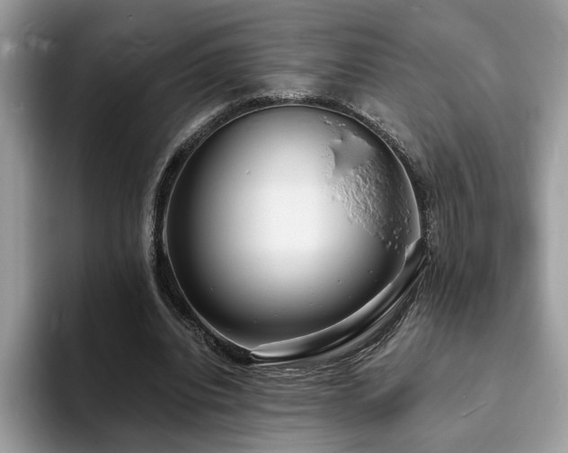 X0000094070440200710191123