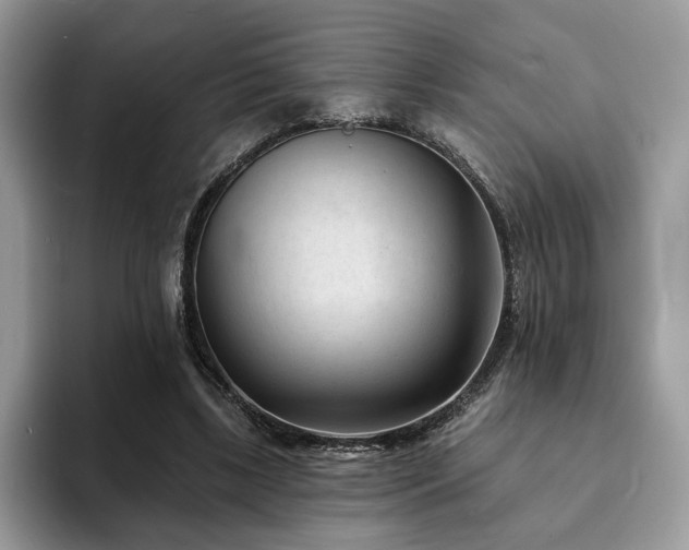 X0000094070443200710191123