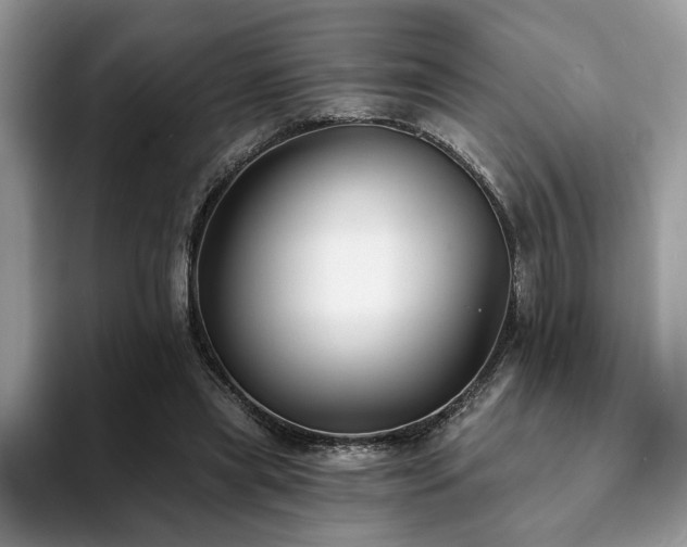 X0000094070445200710191123