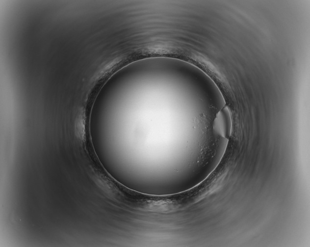 X0000094070446200710191123