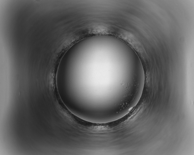 X0000094070449200710191123