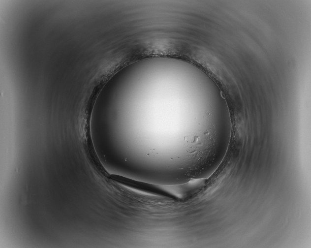 X0000094070450200710191123