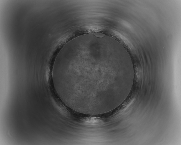 X0000094070451200710191123