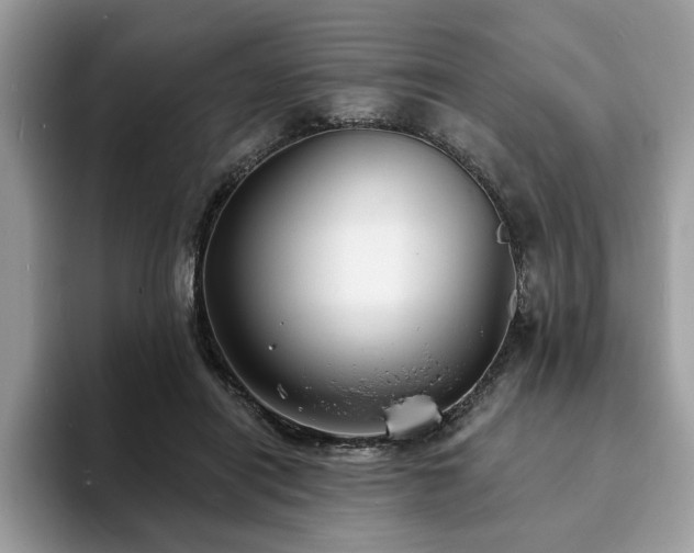 X0000094070454200710191123