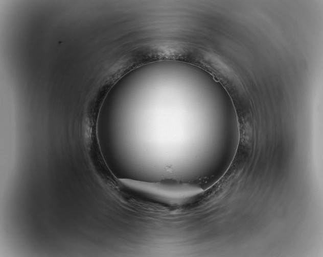 X0000094070456200710191123