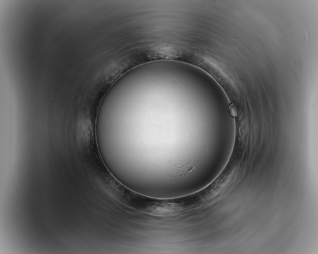 X0000094070459200710191123