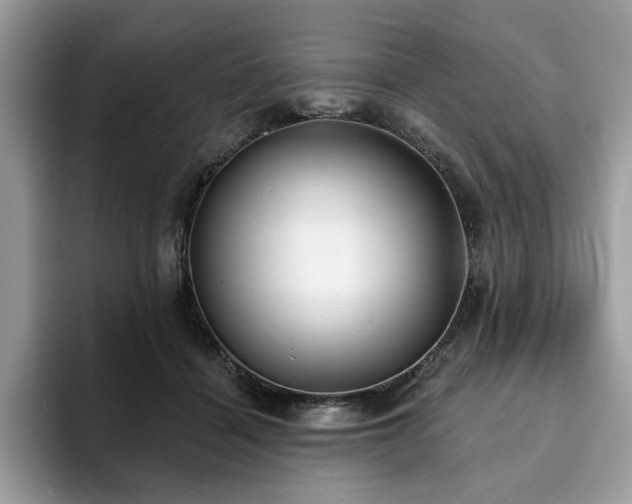 X0000094070460200710191123