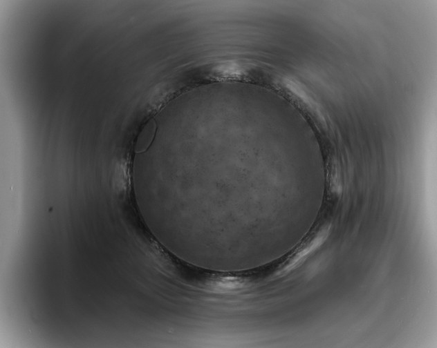 X0000094070467200710191123