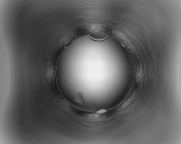 X0000094070473200710191123