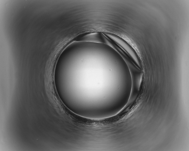 X0000094070481200710191123