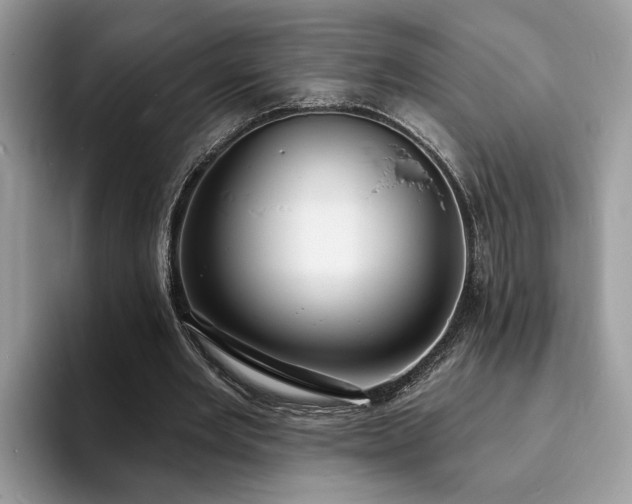X0000094070485200710191123