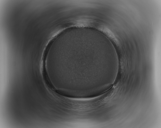 X0000094070488200710191123