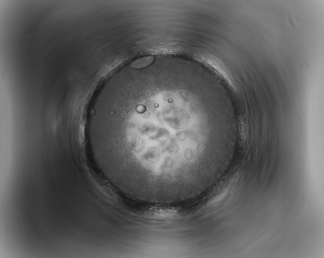 X0000094070491200710191123