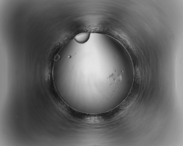 X0000094070499200710191122