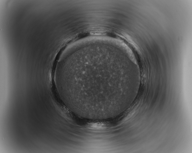 X0000094070500200710191122