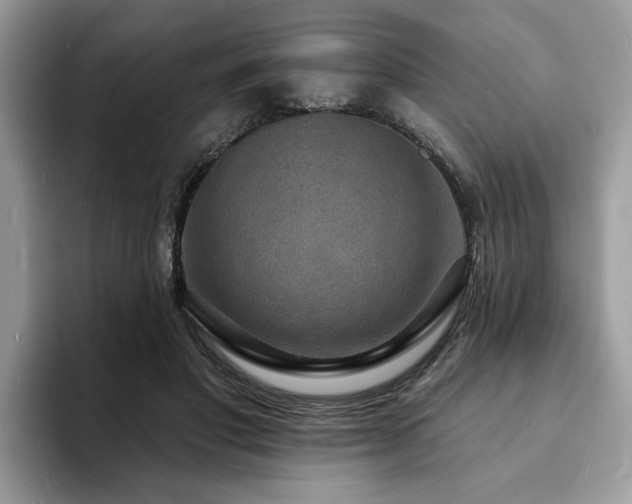 X0000094070501200710191122