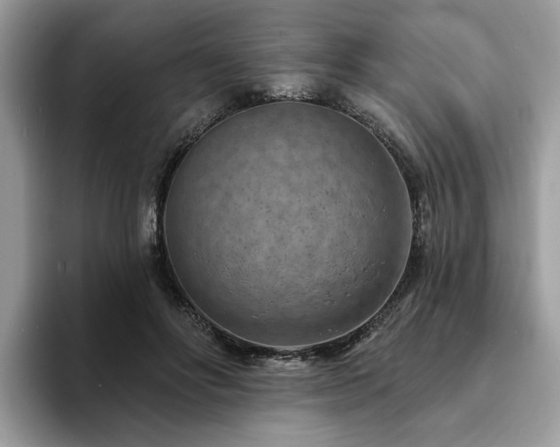X0000094070502200710191122