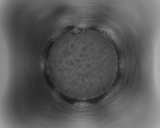X0000094070503200710191122