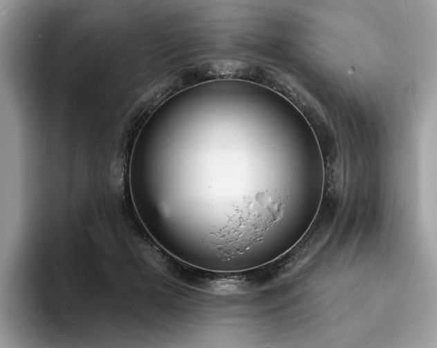X0000094070505200710191122