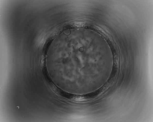 X0000094070507200710191122