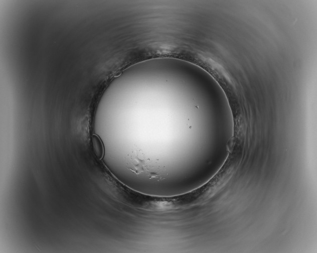 X0000094070509200710191122