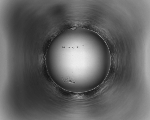 X0000094070511200710191122