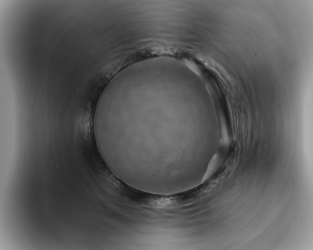 X0000094070513200710191122