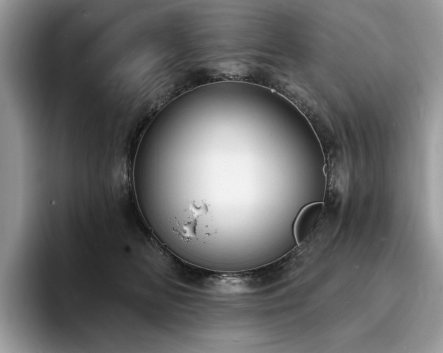 X0000094070518200710191122