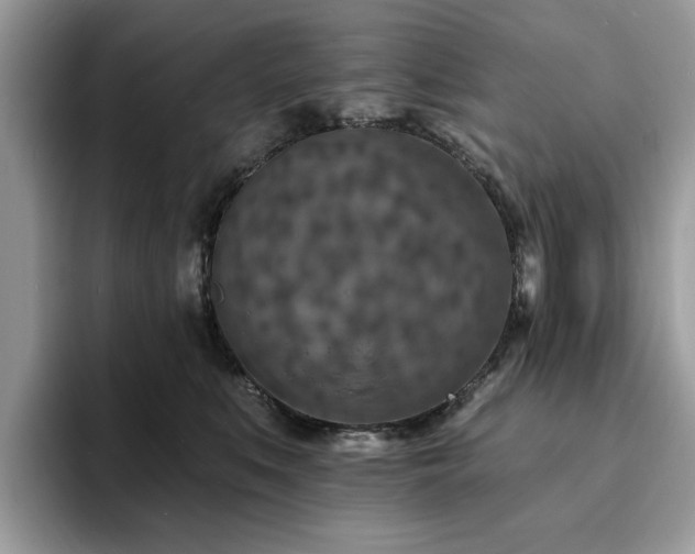 X0000094070519200710191122