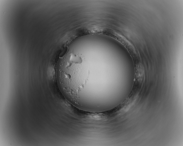 X0000094070523200710191122
