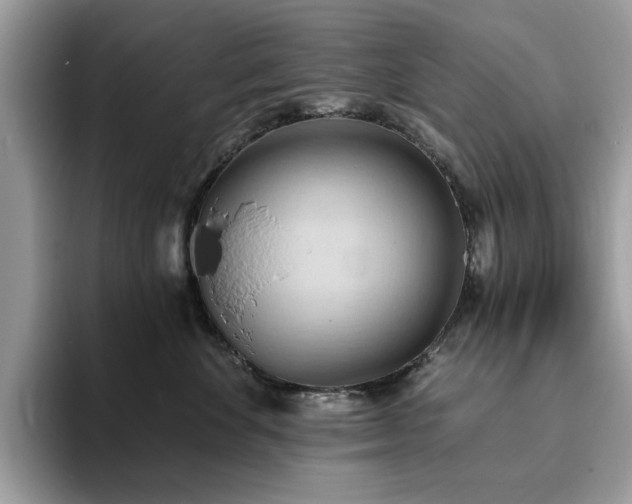 X0000094070524200710191122