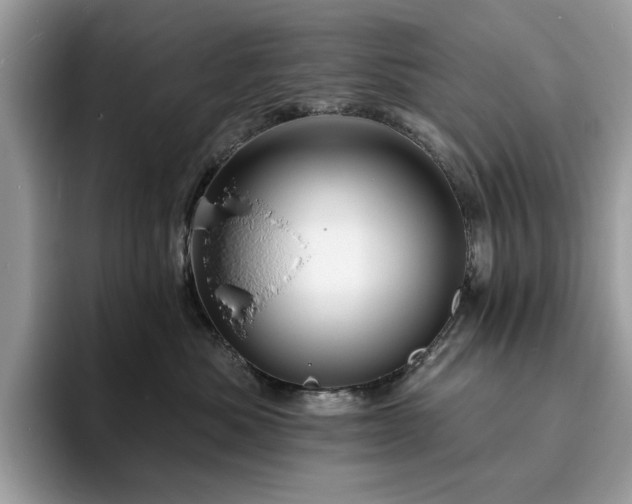 X0000094070525200710191122
