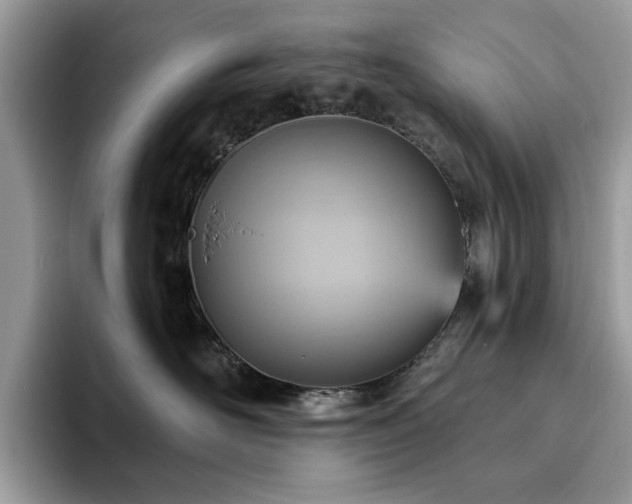 X0000094070526200710191122