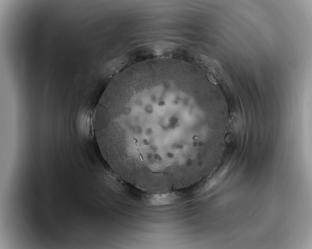 X0000094070527200710191122