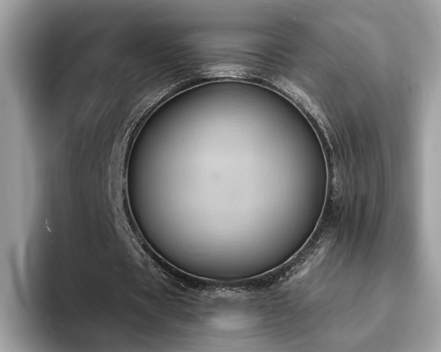 X0000094070529200710191122