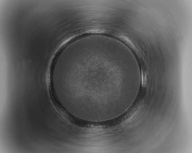 X0000094070531200710191122