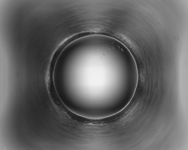 X0000094070532200710191122
