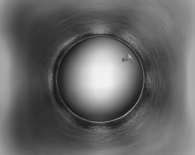 X0000094070535200710191122