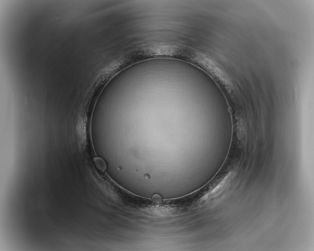 X0000094070537200710191122