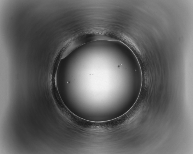X0000094070538200710191122