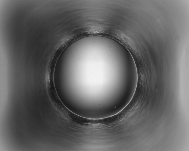 X0000094070539200710191122