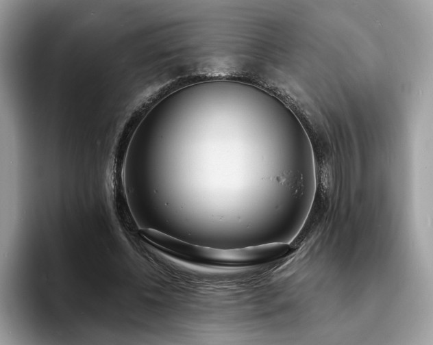 X0000094070540200710191122