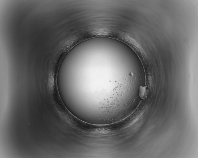 X0000094070541200710191122