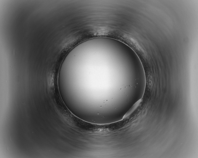 X0000094070543200710191122