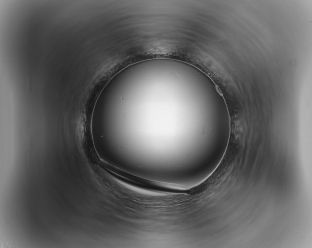 X0000094070544200710191122
