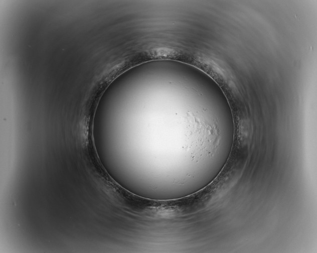 X0000094070545200710191122