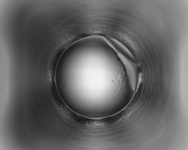 X0000094070546200710191122
