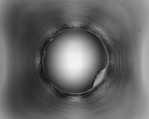X0000094070548200710191122